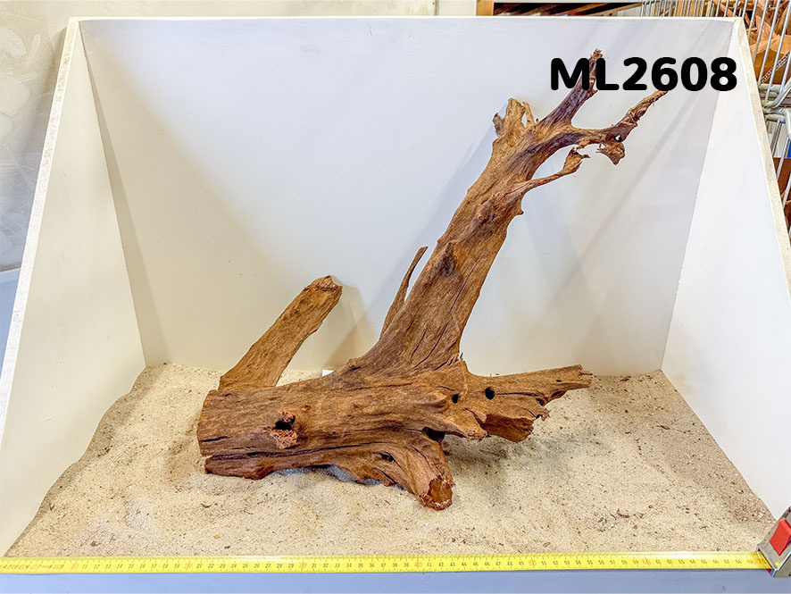 Mangrove hout L (35-60cm)