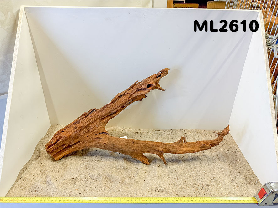 Mangrove hout L (35-60cm)