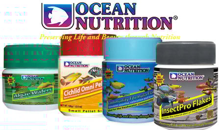 Ocean Nutrition