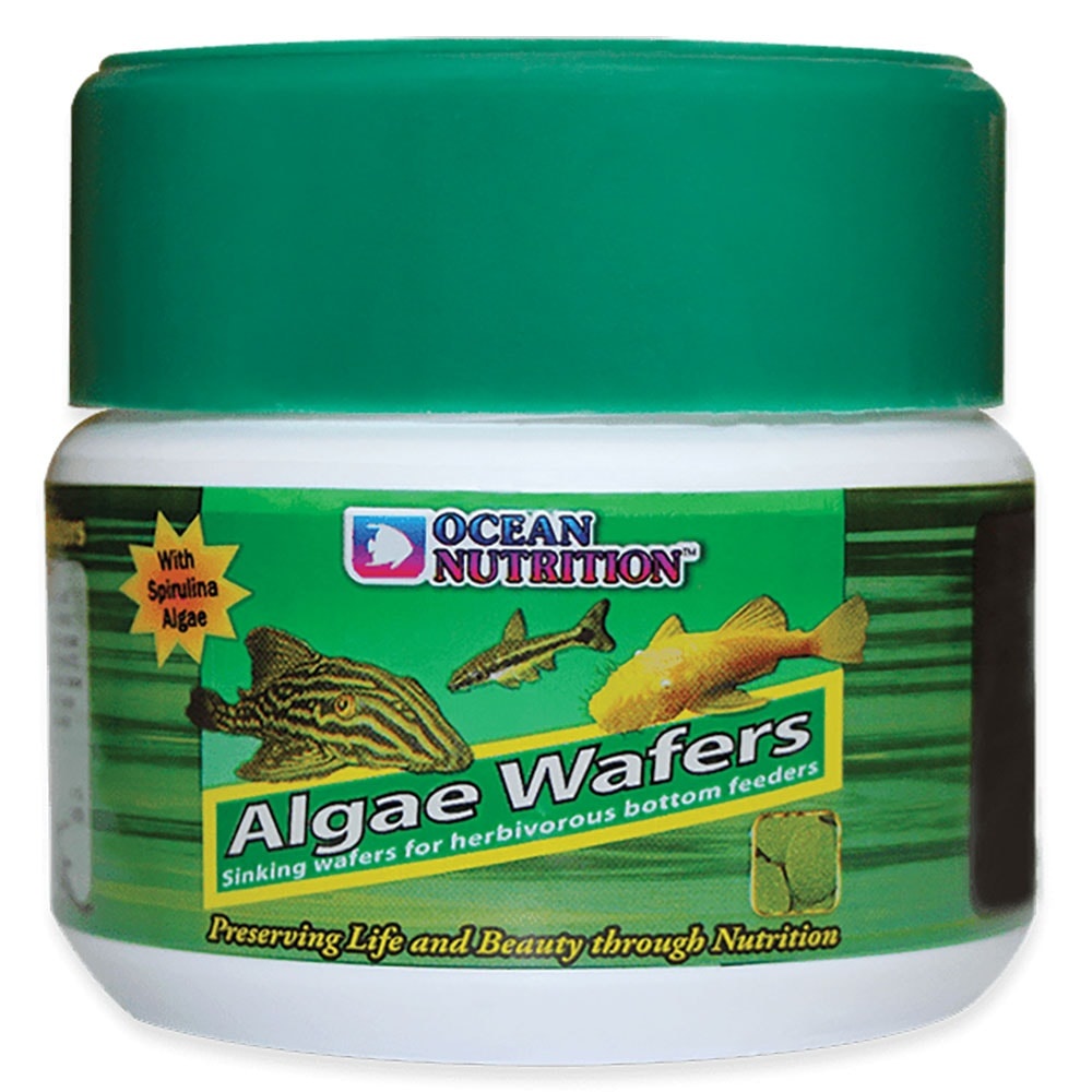 Ocean Nutrition Algae Wafers