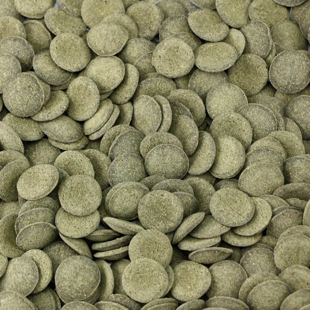 Ocean Nutrition Algae Wafers