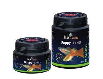 HS Aqua Guppy Flakes