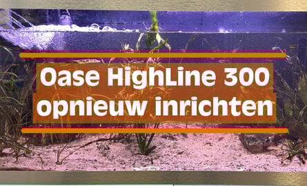 Oase HighLine 300 opnieuw inrichten