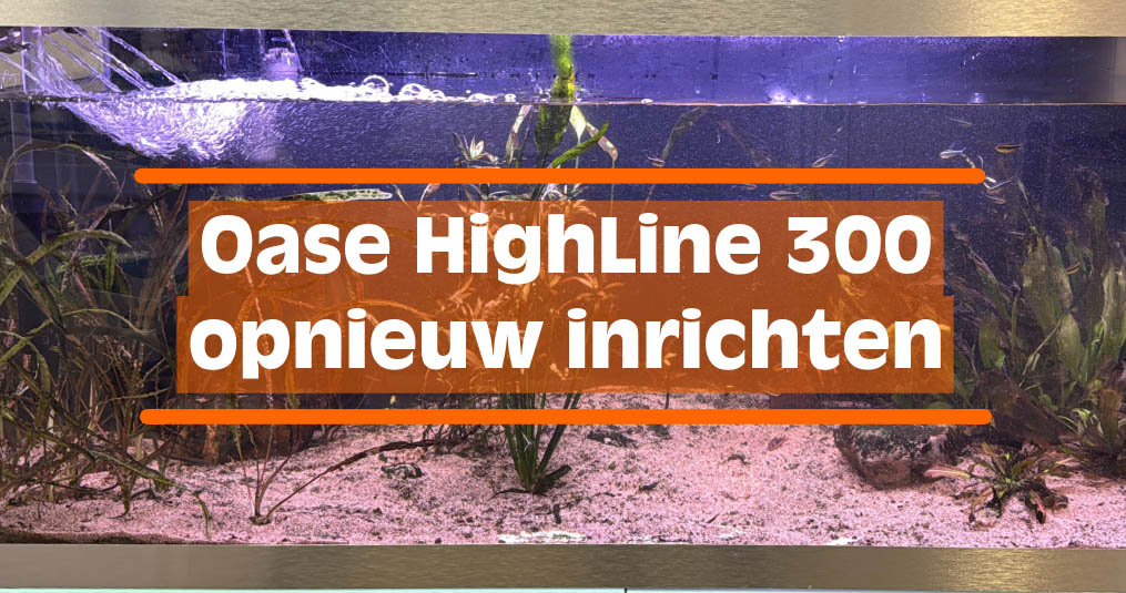 Oase HighLine 300 opnieuw inrichten