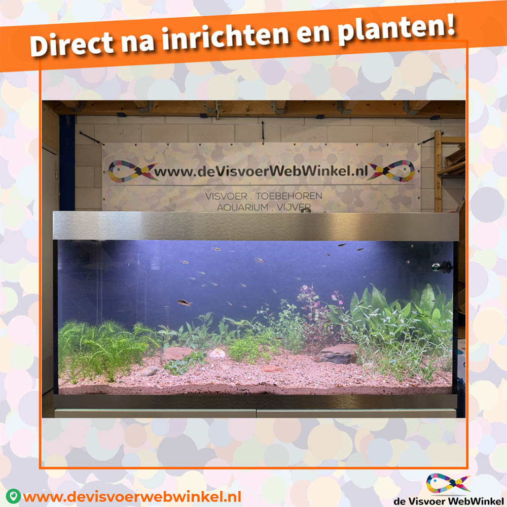 Oase HighLine 300 opnieuw ingericht