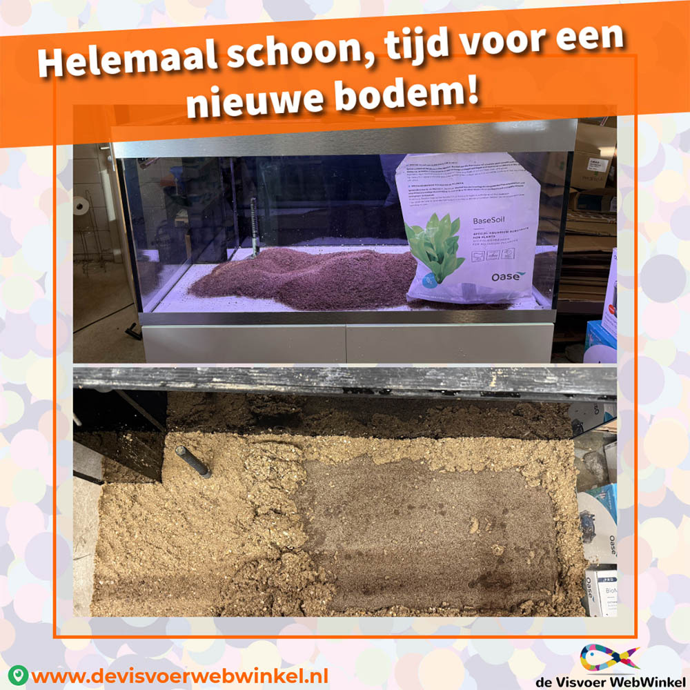 Aquarium met Oase BaseSoil voedingsbodem