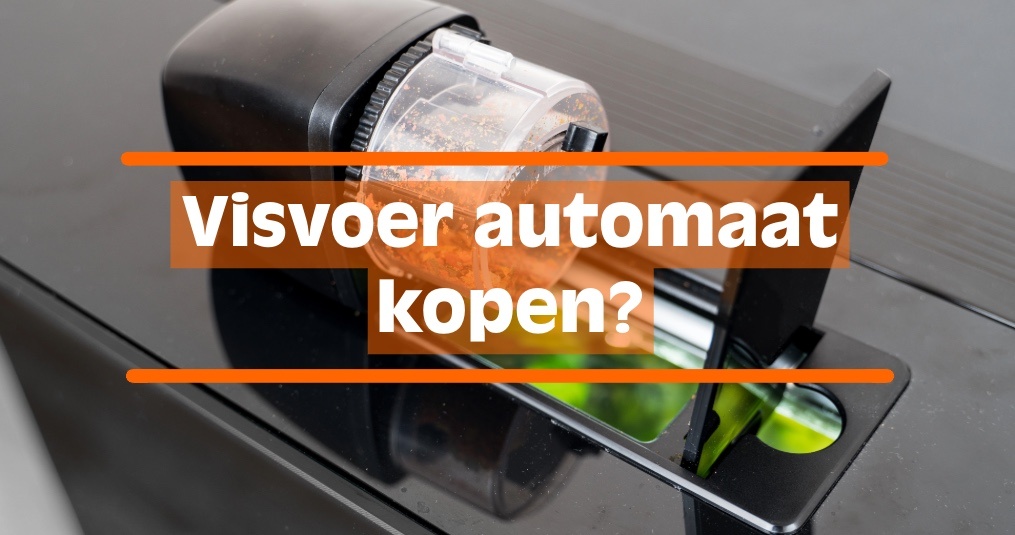 Visvoer automaat aquarium kopen?