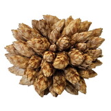 Hobby Desert Bloom (25 stuks)