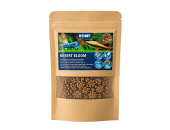 Hobby Desert Bloom (25 stuks)