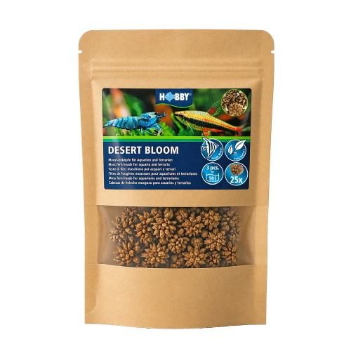 Hobby Desert Bloom (25 stuks)