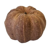 Hobby Curcurbita (25 stuks)