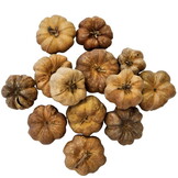 Hobby Curcurbita (25 stuks)