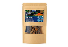 Hobby Curcurbita (25 stuks)