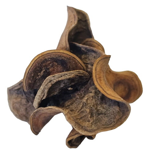 Hobby Jungle Star Flowers (25 stuks)