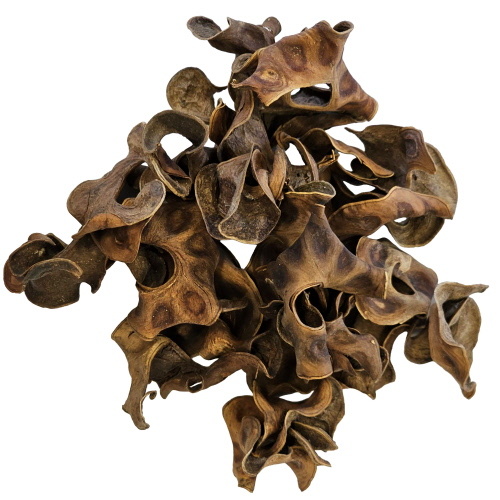 Hobby Jungle Star Flowers (25 stuks)