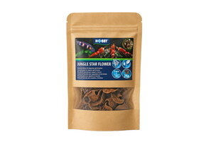 Hobby Jungle Star Flowers (25 stuks)