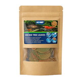 Hobby Orchid Tree Leaves (25 stuks)