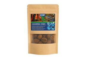 Hobby Casuarina Cones (25 stuks)