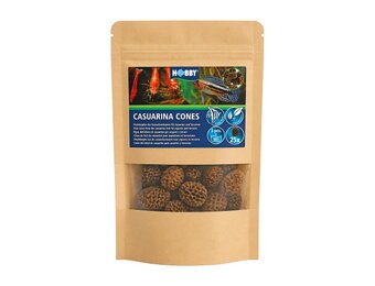 Hobby Casuarina Cones (25 stuks)