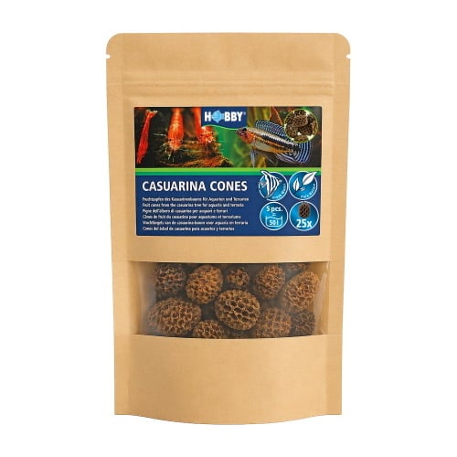 Hobby Casuarina Cones (25 stuks)
