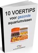 Aquarium winkel voor visvoer en accessoires - Aquarium en vijver