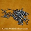 100 acier rivets 12 mm - Celtic Webmerchant