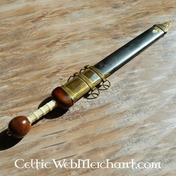 Gladius Noviomagus - Celtic Webmerchant