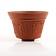 Cup mit Satyr Relief (Terra Sigillata) - Celtic Webmerchant