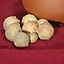 Gallnuts do tuszu (80 g), - Celtic Webmerchant