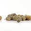 Gallnuts for ink (80 grams) - Celtic Webmerchant