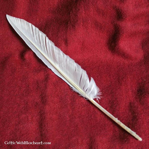 Goose feathers set of 10 - CelticWebMerchant.com