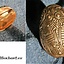 Broche tortuga Dorestad - Celtic Webmerchant