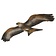 3D cerf-volant rouge - Celtic Webmerchant