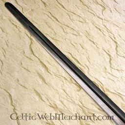 Viking sword Thorfinn , battle-ready (blunt 3 mm) - Celtic Webmerchant