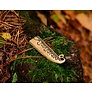 Bronze age razor - Celtic Webmerchant