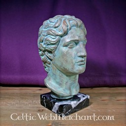 Bust Alexander the Great - Celtic Webmerchant