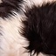 Nordic sheep skin black-white - Celtic Webmerchant