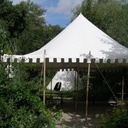 carpa medieval - Celtic Webmerchant