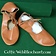 Deepeeka Zapatos con dobla con cordones (1100-1500) - Celtic Webmerchant