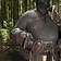 Epic Armoury Vambraces Orc de cuero Uzgush, marrón, par - Celtic Webmerchant