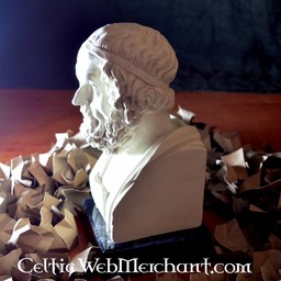 Homer busto - Celtic Webmerchant