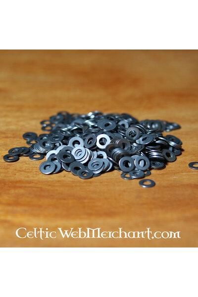 Unterlegscheiben, große, Satz von 100 - Celtic Webmerchant