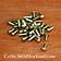 Brass rivets 4 mm, 10 mm long, set of 50 - Celtic Webmerchant