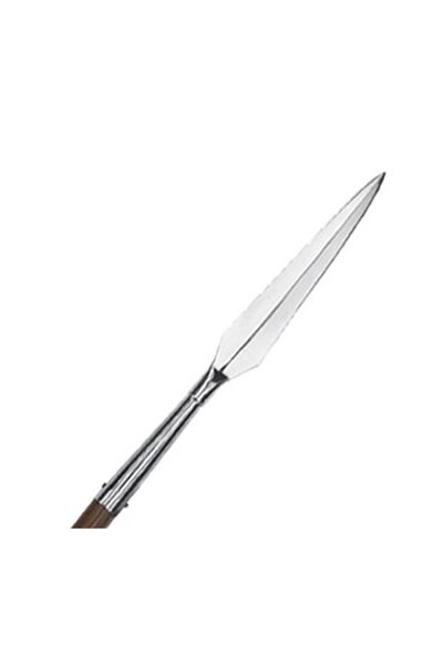 Romersk hasta, klinge - Celtic Webmerchant