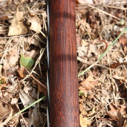 Strzelec łuk rekonstrukcja / larp 58