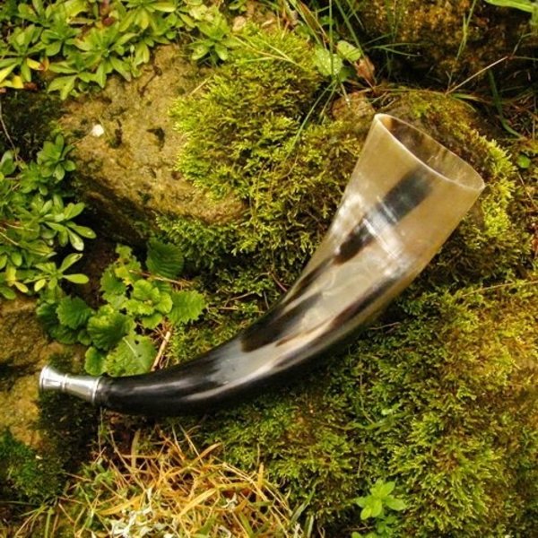 Blow horn mouth piece