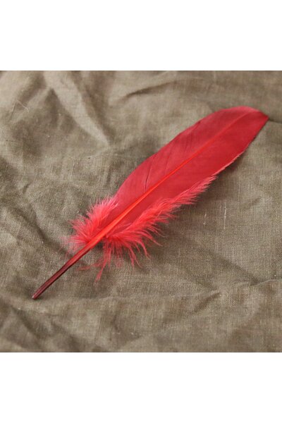 Ganzenveer rood, 15-21 cm - Celtic Webmerchant