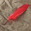 Gänsefeder rot, 15-21 cm - Celtic Webmerchant