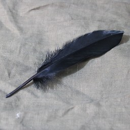 Gänsefedern schwarz, 15-21 cm - Celtic Webmerchant