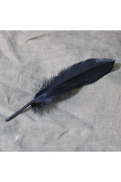 Piuma d'oca nera, 15-21 cm - Celtic Webmerchant